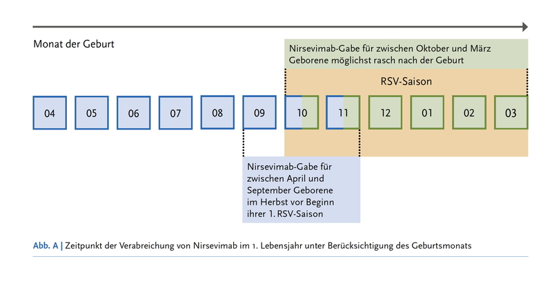 Medien/rsv-prophylaxe